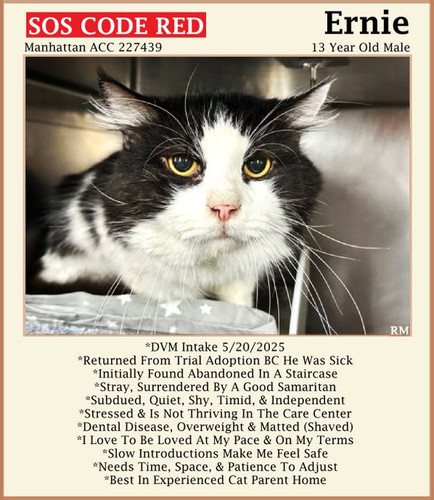 Gu8vI4UaMAAIY5p.jpg