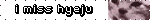 IMG 7476.gif
