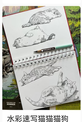 Screenshot 20250706 133340 com xingin xhs GlobalSearchActivity.jpg