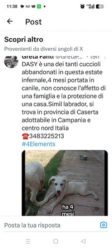 GvFa4mpXcAA9Fu5.jpg