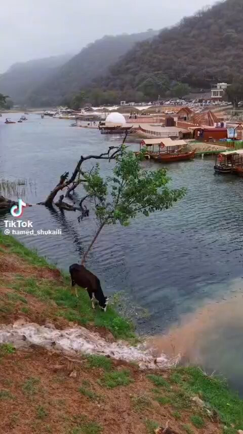 QgcHCR 6xx1YWhGQ.jpg