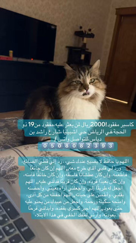 tu3drZAzQV67 4En.jpg