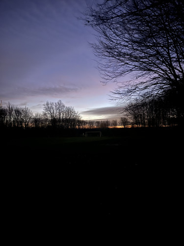 IMG 5343.jpg