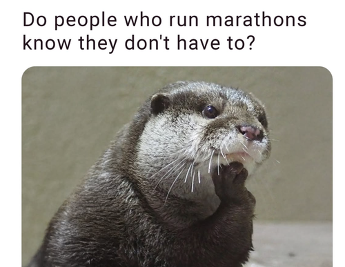 Screenshot 2025 07 06 at 10.29.34 AM.png