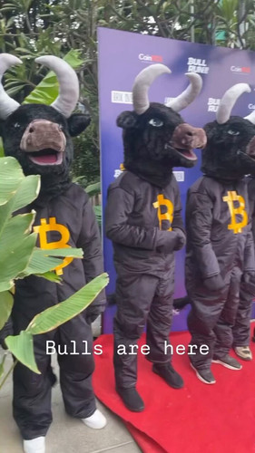 Q8jH7s3hdP71szQZ.jpg