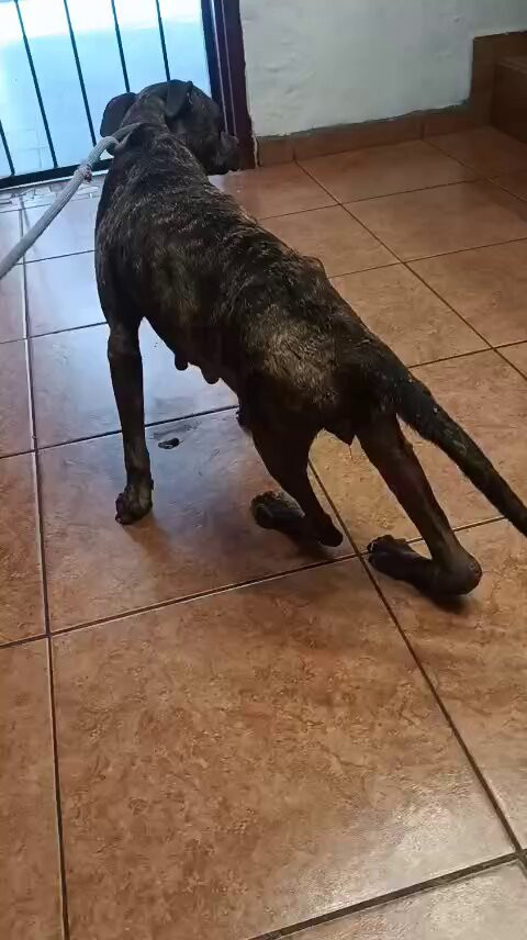 pWNArl ABeWNf4Cz.jpg