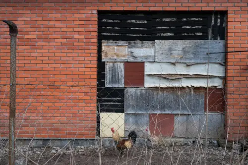 swypse 20250705 0014.webp