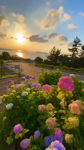 7zyQ dtYrXjCNTvi.jpg