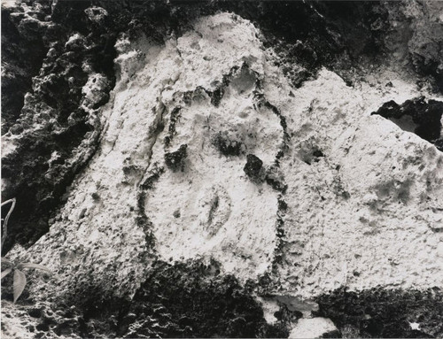ana mendieta maroya [moon ].jpg