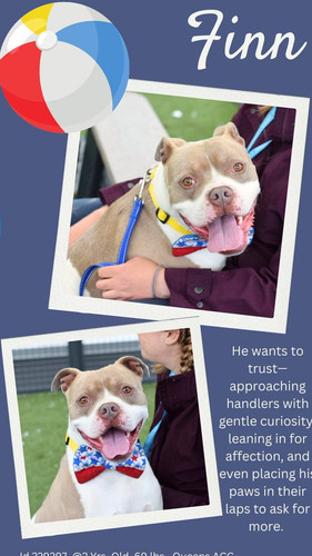 Gu vFsa4AAD o7?format=jpg.jpg