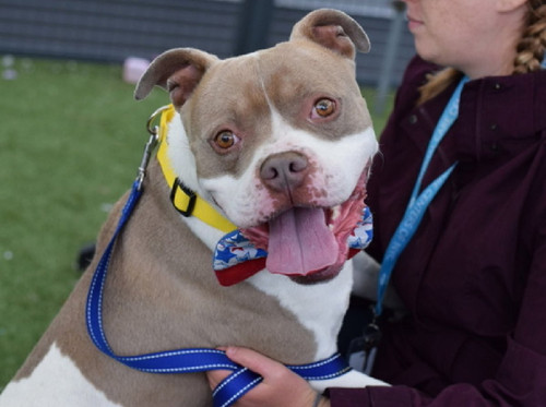 Gu UGjYb0AQlntB?format=jpg.jpg