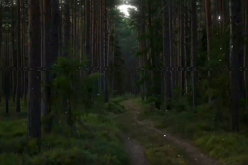 s0b6GmaJLFk18 EC.jpg