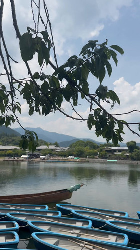 dTkg9G4VYjVY vyZ.jpg