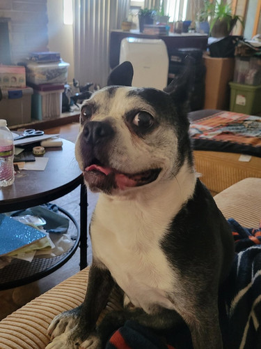 GvGkW AWUAA j8S?format=jpg.jpg