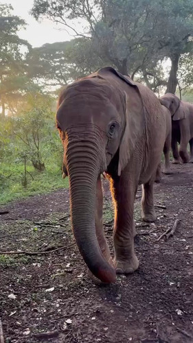 IacM0F45vb9ay xa.jpg