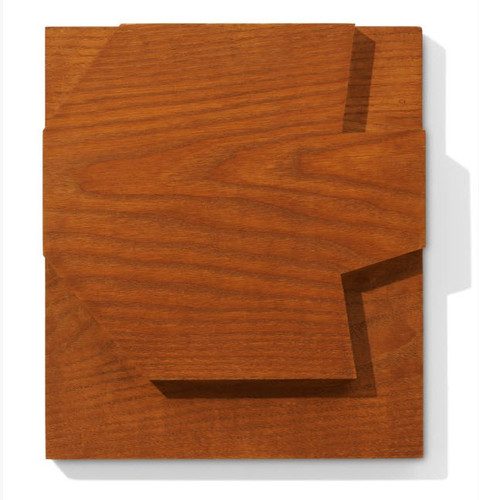 ellsworth kelly palm relief.jpg