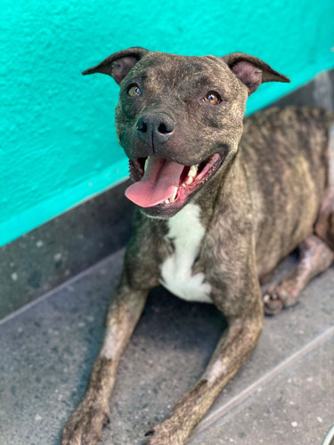 GuyKOBTWkAEp8D ?format=jpg.jpg