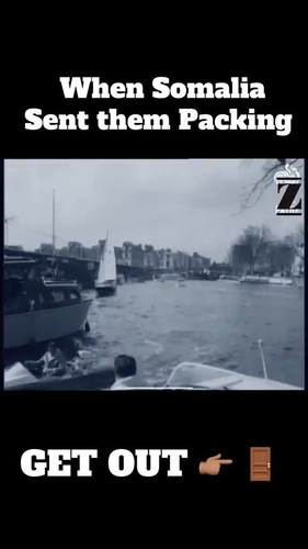 P SMkVoGojr325l9.jpg