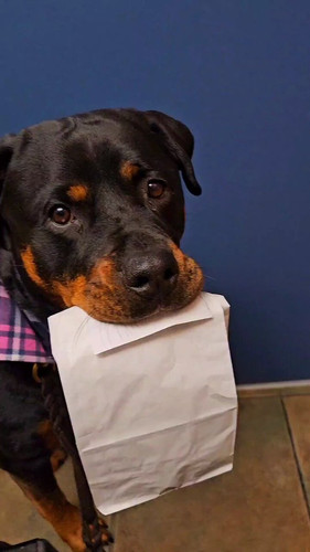 K gsTJIqgUpWA5B3.jpg