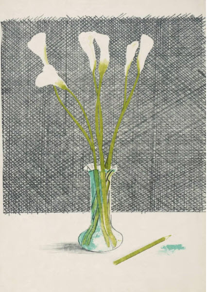 david hockney lillies.jpg