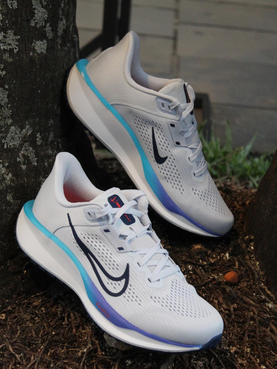 Tênis Nike Quest 6 Masculino