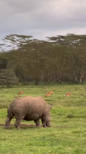 8NgnO6Hp BU7Z7aJ.jpg