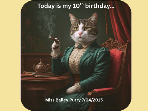 TQxOIoxhXWmLA Ju.jpg