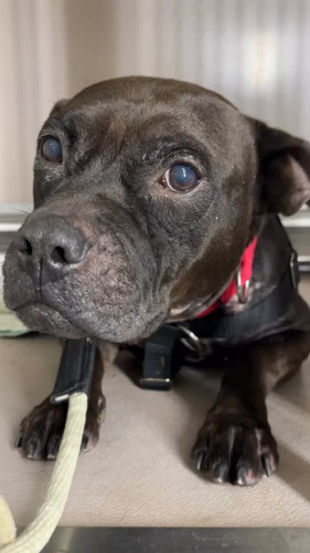 I6cHPd DRiJoATE6.jpg