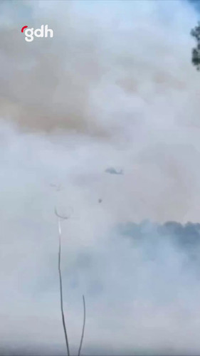 Uq1jzFI6 bN00L3p.jpg