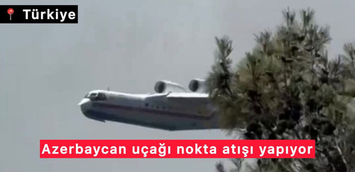 2wVzl4ps X TrIyM.jpg