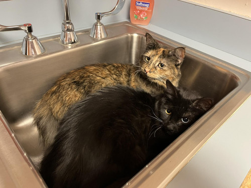 514123202 24328363316800099 2866393493019370563 n.jpg