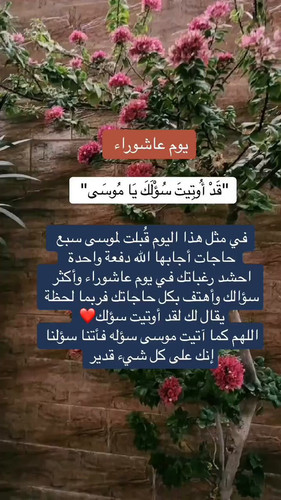 S8cotPHoI 1yyVzl.jpg