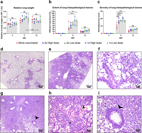 GvHMXq WIAABGGU.png