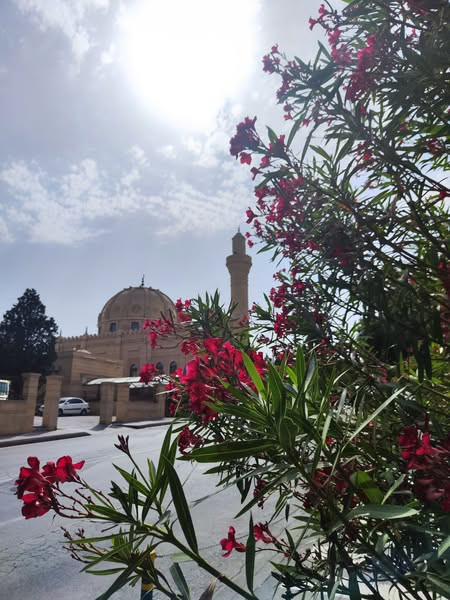 515684386 23888147787503491 5643280843625407453 n.jpg?stp=dst jpg s600x600 tt6& nc cat=103&ccb=1 7& .jpg