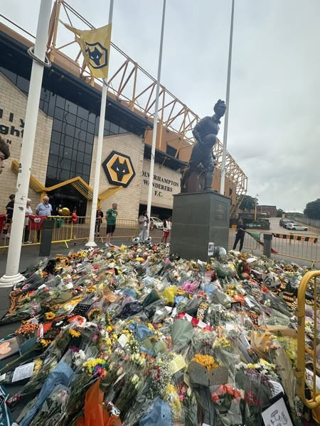 514279587 122206416698123108 5264400863267169365 n.jpg?stp=dst jpg s600x600 tt6& nc cat=103&ccb=1 7&.jpg