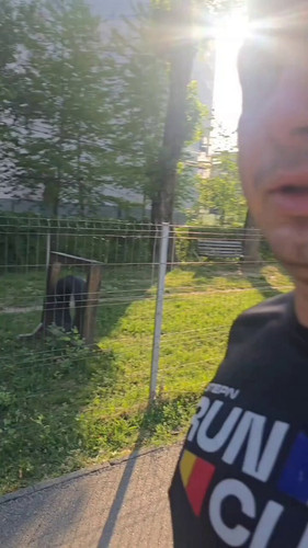 jMbzPMnAZhYgCKTV.jpg