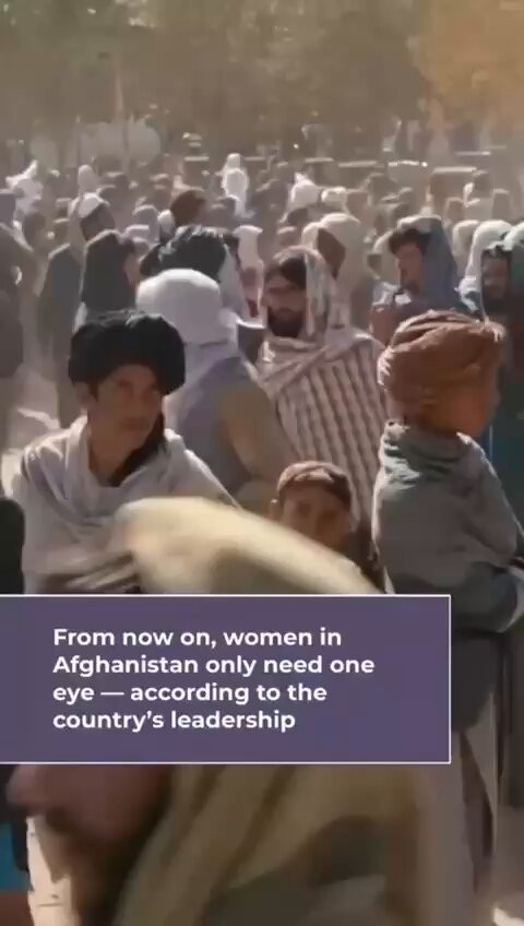 jXXzC7zEfO31d RL.jpg