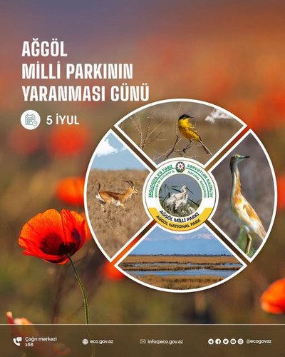 515547016 1143609411143515 1775722843724571633 n.jpg?stp=dst jpg s640x640 tt6& nc cat=102&ccb=1 7& n.jpg