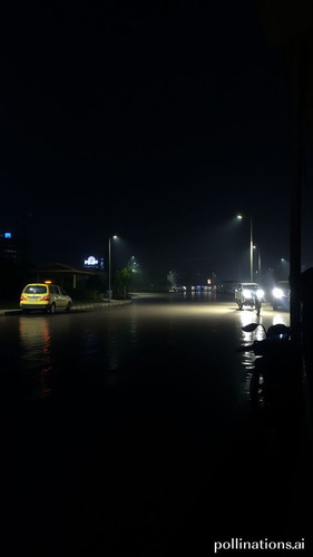 77d47a6c64dd.jpg