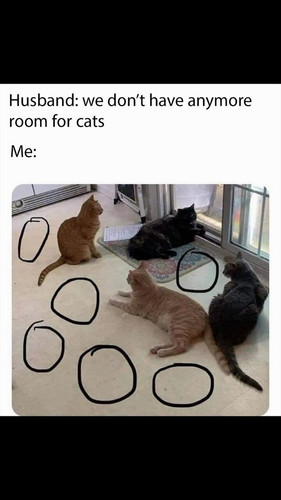 DtWTltVlhMb1K0Gp.jpg