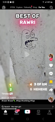 Screenshot 20250628 172816 TikTok.jpg