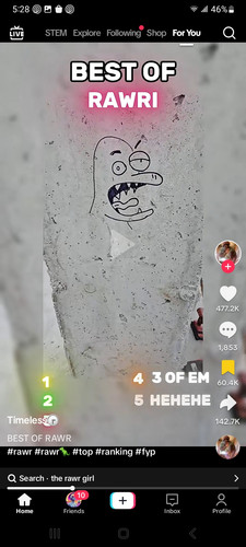 Screenshot 20250628 172830 TikTok.jpg