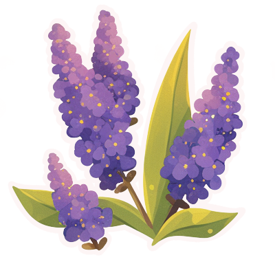 4.png