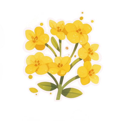 6.png