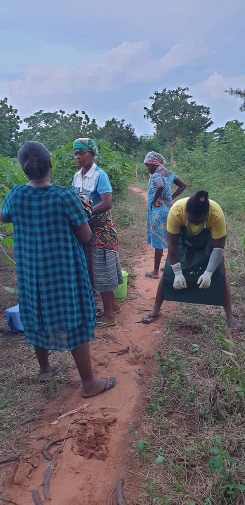 GuUKAYNXwAAgM7g.jpg
