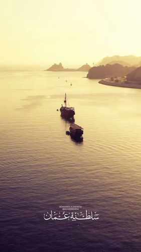 IqsV8ELgSu J4 4d.jpg