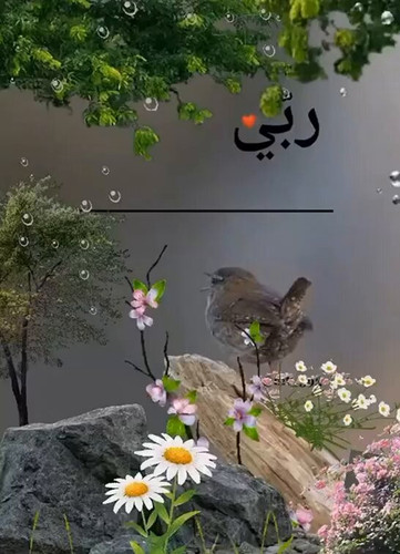 9qSNQIRkhOqHbj4I.jpg