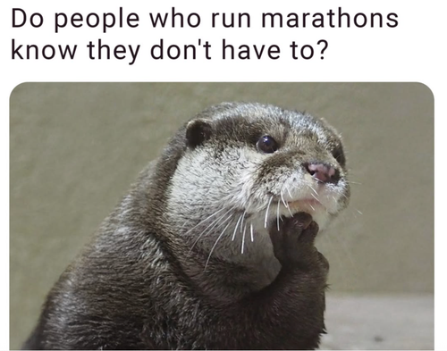 Screenshot 2025 07 06 at 1.28.19 PM.png