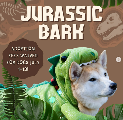 Gu3CjwMXoAAKxzq.png