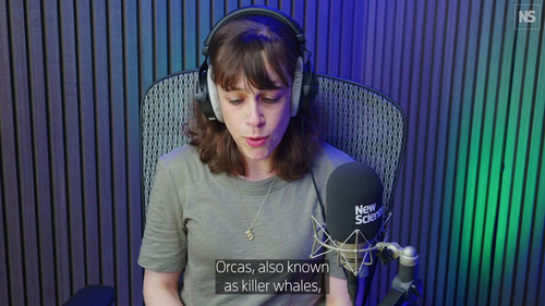 WVsUz6w95HuWgqNS.jpg